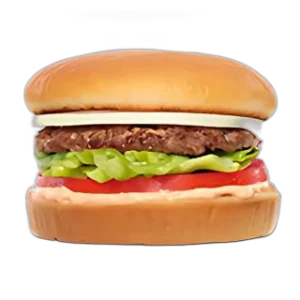 In N Out Hamburger300x300
