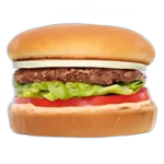 hamburger 250x250 1