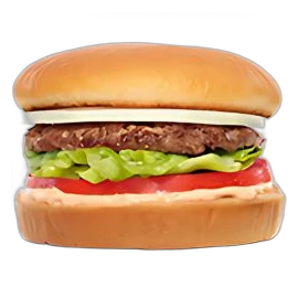 hamburger 250x250 1