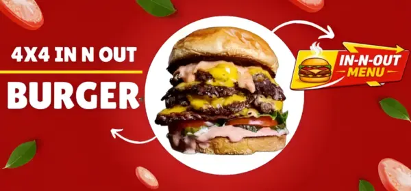 in n out 4x4 in-n-out cover
